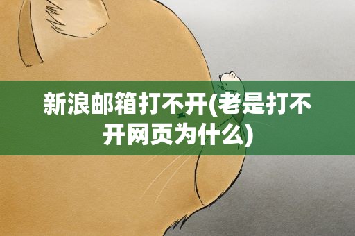 新浪邮箱打不开(老是打不开网页为什么)