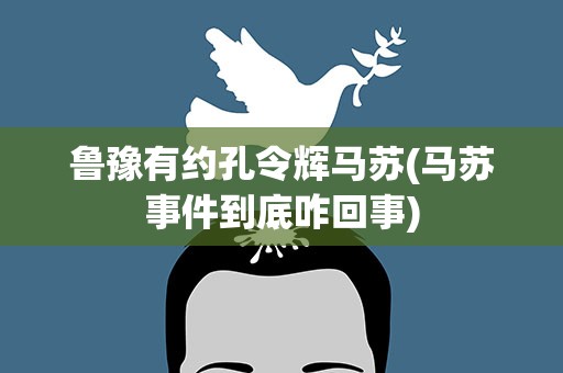 鲁豫有约孔令辉马苏(马苏事件到底咋回事)
