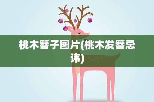 桃木簪子图片(桃木发簪忌讳)