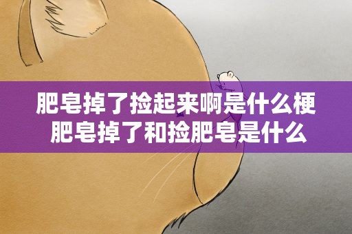 肥皂掉了捡起来啊是什么梗 肥皂掉了和捡肥皂是什么意思