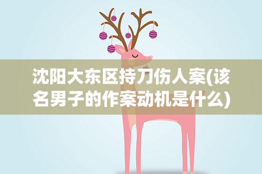 沈阳大东区持刀伤人案(该名男子的作案动机是什么)