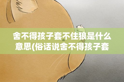 舍不得孩子套不住狼是什么意思(俗话说舍不得孩子套不住狼是什么意思)