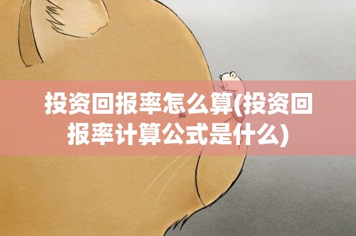 投资回报率怎么算(投资回报率计算公式是什么)