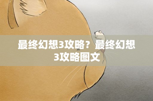 最终幻想3攻略？最终幻想3攻略图文