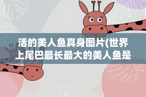 活的美人鱼真身图片(世界上尾巴最长最大的美人鱼是谁)