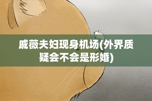 戚薇夫妇现身机场(外界质疑会不会是形婚)
