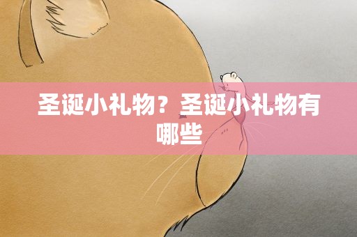 圣诞小礼物？圣诞小礼物有哪些