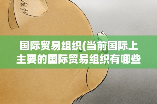 国际贸易组织(当前国际上主要的国际贸易组织有哪些)