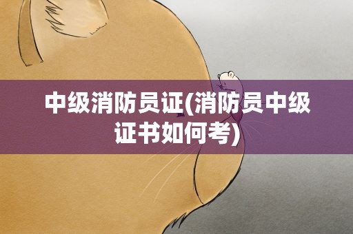 中级消防员证(消防员中级证书如何考)