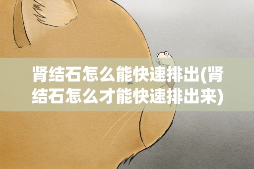 肾结石怎么能快速排出(肾结石怎么才能快速排出来)