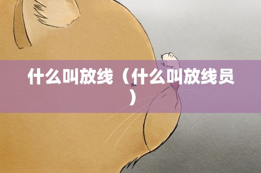 什么叫放线（什么叫放线员）