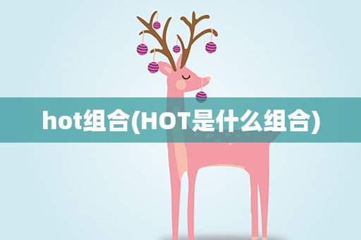 hot组合(HOT是什么组合)