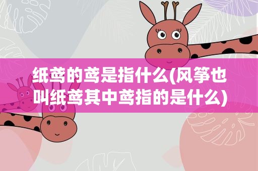 纸鸢的鸢是指什么(风筝也叫纸鸢其中鸢指的是什么)