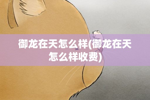 御龙在天怎么样(御龙在天怎么样收费)