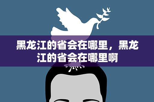 黑龙江的省会在哪里，黑龙江的省会在哪里啊