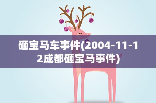 砸宝马车事件(2004-11-12成都砸宝马事件)