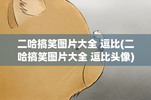 二哈搞笑图片大全 逗比(二哈搞笑图片大全 逗比头像)