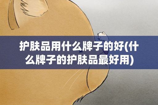 护肤品用什么牌子的好(什么牌子的护肤品最好用)