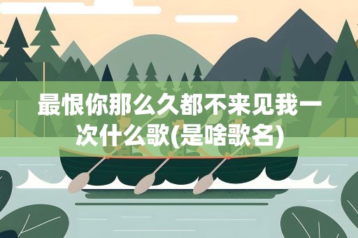 最恨你那么久都不来见我一次什么歌(是啥歌名)