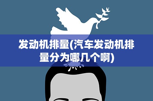 发动机排量(汽车发动机排量分为哪几个啊)