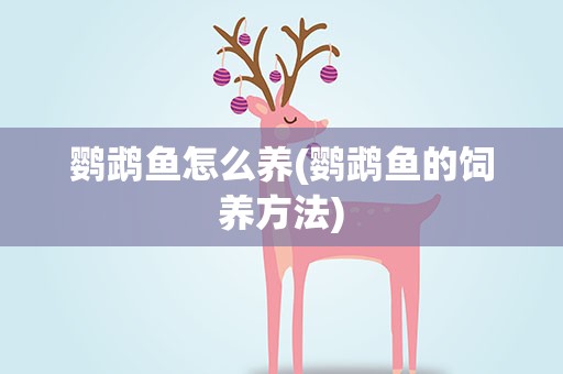 鹦鹉鱼怎么养(鹦鹉鱼的饲养方法)