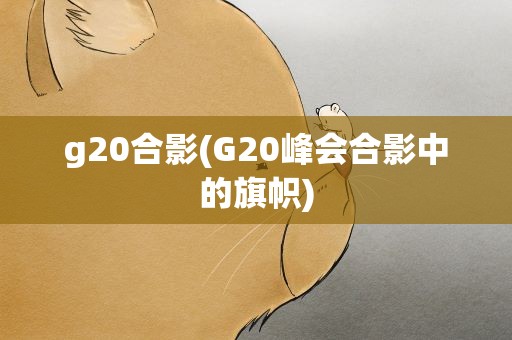 g20合影(G20峰会合影中的旗帜)