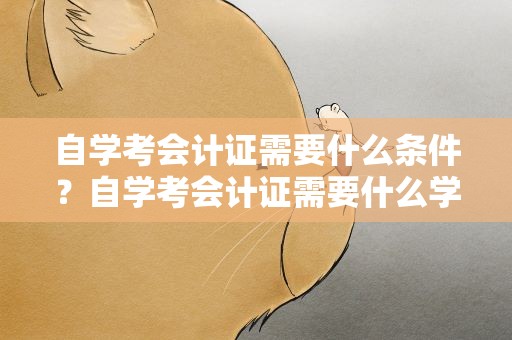 自学考会计证需要什么条件？自学考会计证需要什么学历