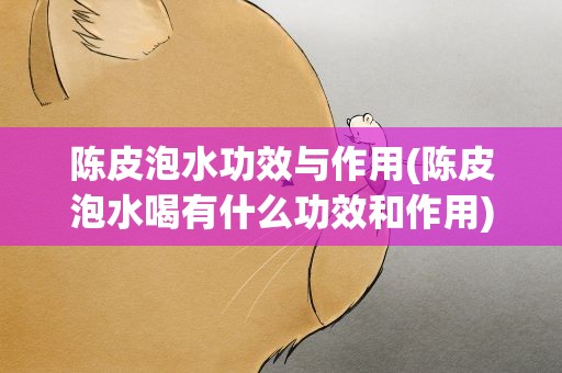 陈皮泡水功效与作用(陈皮泡水喝有什么功效和作用)