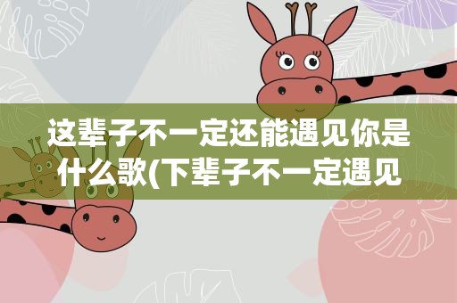 这辈子不一定还能遇见你是什么歌(下辈子不一定遇见你歌曲原唱)