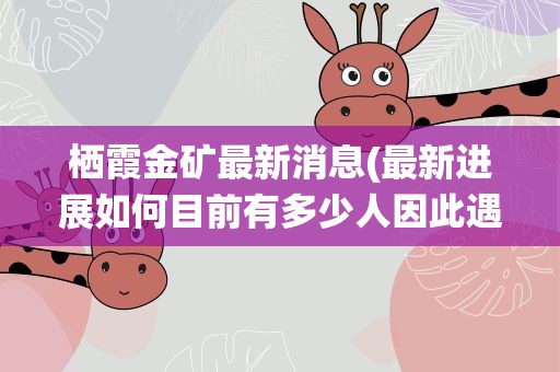 栖霞金矿最新消息(最新进展如何目前有多少人因此遇难)
