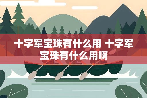 十字军宝珠有什么用 十字军宝珠有什么用啊