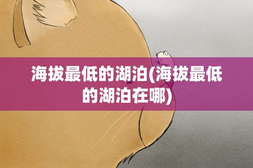 海拔最低的湖泊(海拔最低的湖泊在哪)