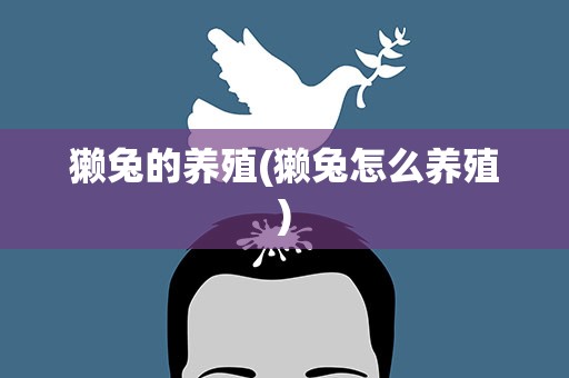 獭兔的养殖(獭兔怎么养殖)