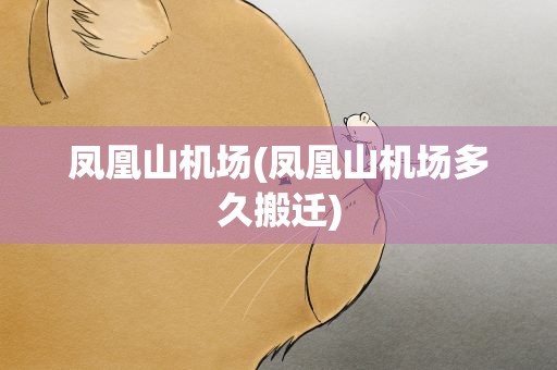 凤凰山机场(凤凰山机场多久搬迁)