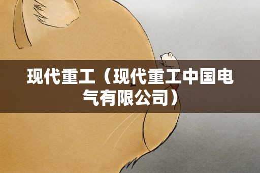 现代重工（现代重工中国电气有限公司）