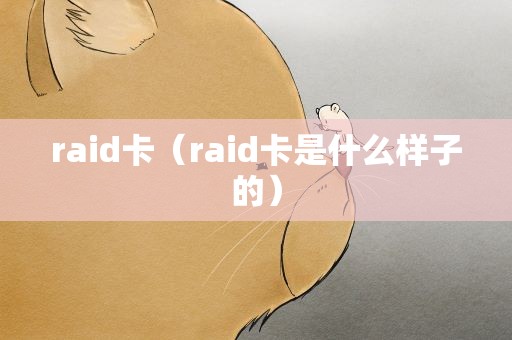 raid卡（raid卡是什么样子的）
