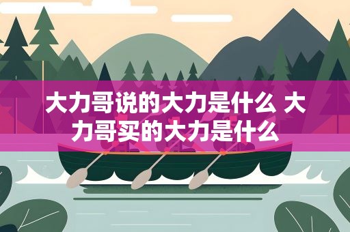 大力哥说的大力是什么 大力哥买的大力是什么