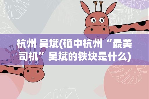杭州 吴斌(砸中杭州“最美司机”吴斌的铁块是什么)