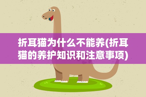 折耳猫为什么不能养(折耳猫的养护知识和注意事项)