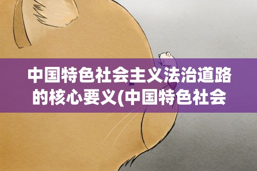 中国特色社会主义法治道路的核心要义(中国特色社会主义法治道路的核心要义是什么)