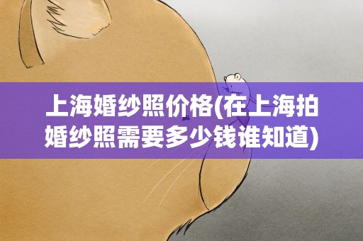 上海婚纱照价格(在上海拍婚纱照需要多少钱谁知道)