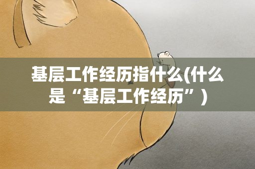 基层工作经历指什么(什么是“基层工作经历”)