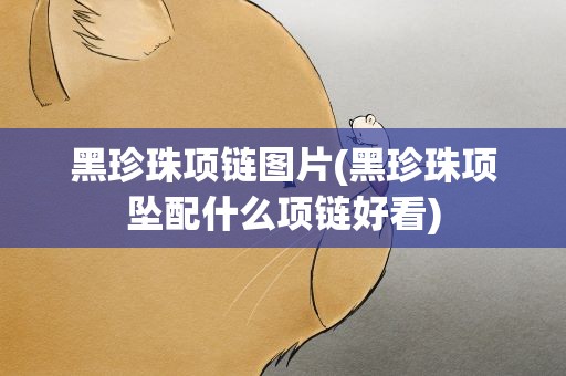 黑珍珠项链图片(黑珍珠项坠配什么项链好看)