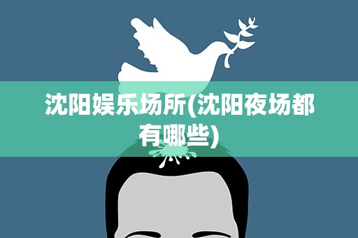 沈阳娱乐场所(沈阳夜场都有哪些)