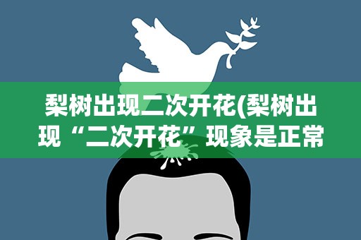 梨树出现二次开花(梨树出现“二次开花”现象是正常的吗)