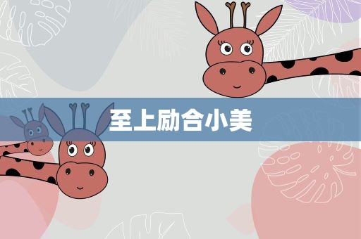 至上励合小美