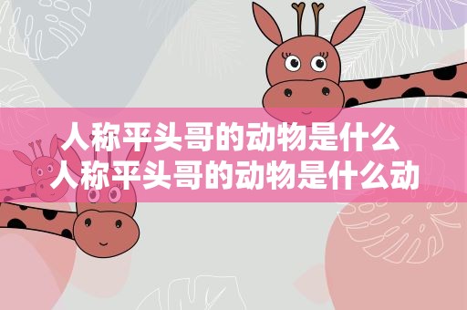 人称平头哥的动物是什么 人称平头哥的动物是什么动物