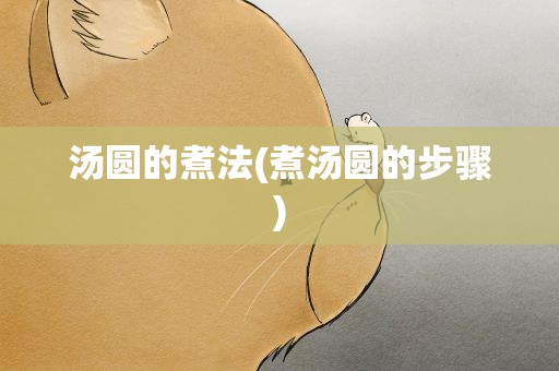 汤圆的煮法(煮汤圆的步骤)