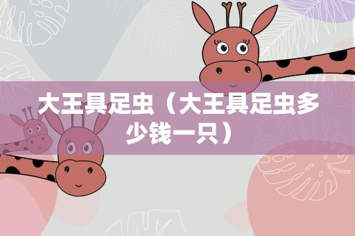 大王具足虫（大王具足虫多少钱一只）