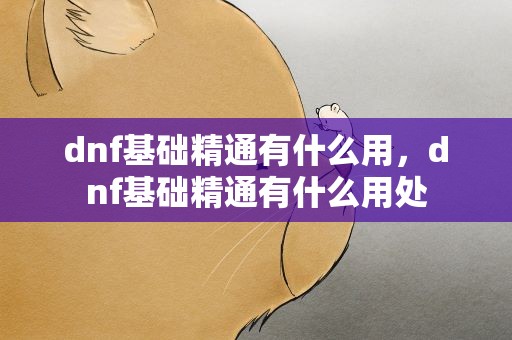 dnf基础精通有什么用，dnf基础精通有什么用处